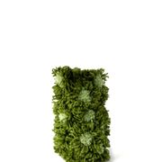 Green Flower Vase