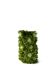 Green Flower Vase