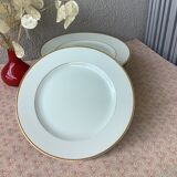 Nitto Hawthorne Japan plates - prestige tableware