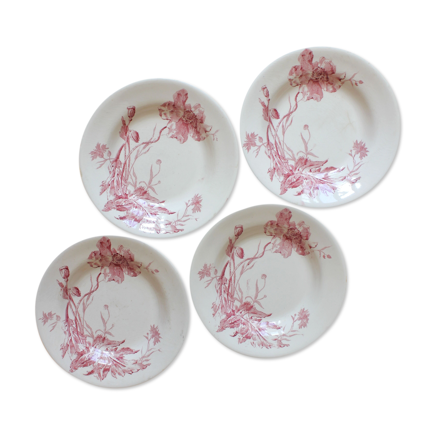 4 plates in iron earth opaque poppies, from Gien