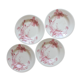 4 plates in iron earth opaque poppies, from Gien
