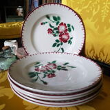 Lot de 6 assiettes plates Sarguemmine