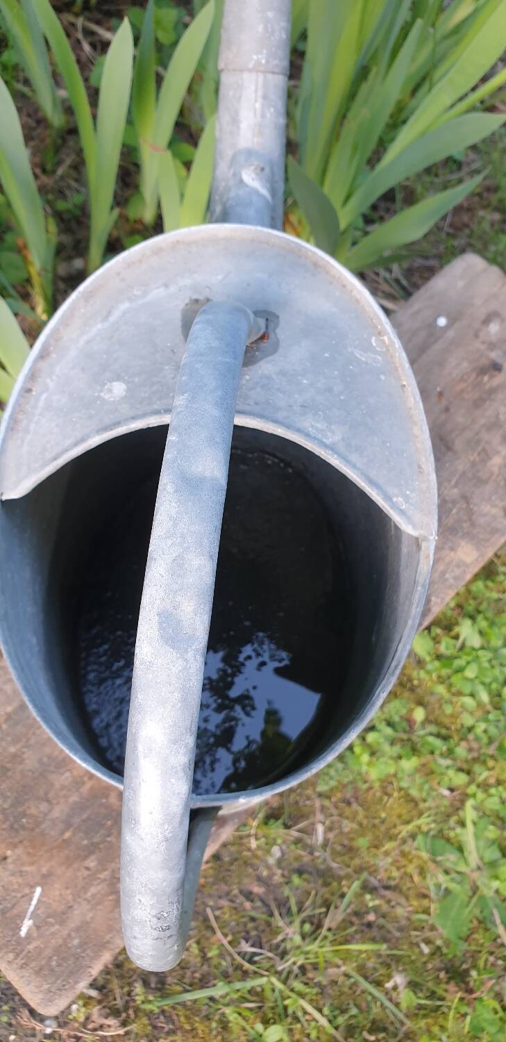 Vintage zing watering can