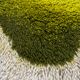 Tapis vintage 70’s velours pure laine