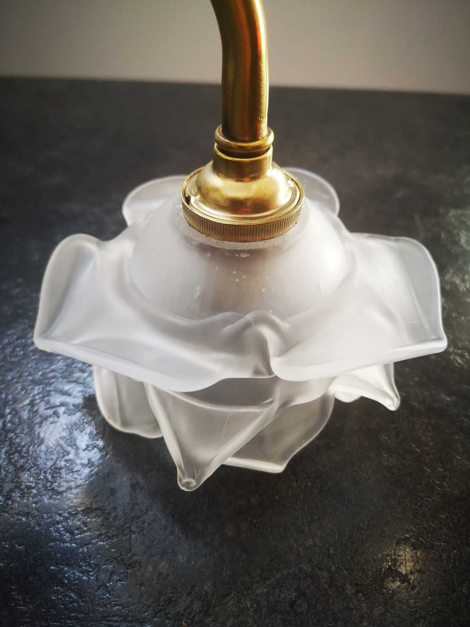 Wall lamp old tulip glass paste shape flower gooseneck brass porcelain art deco 1930