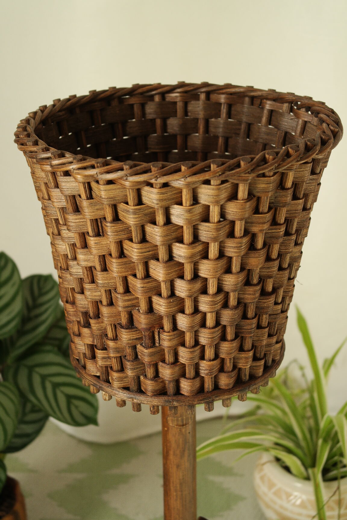 Sole-on-foot door in vintage braided reeded curved wood