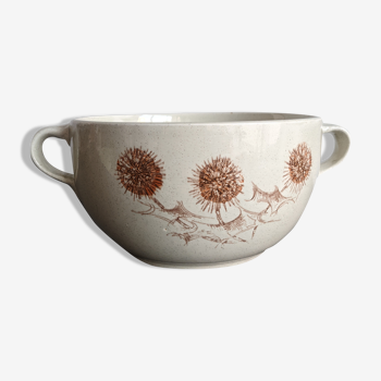 Ceramic bowl vintage beige sandstone 1970 sarreguemines decoration flower thistle