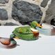 Terrine duck in brown slurry Michel Caugant