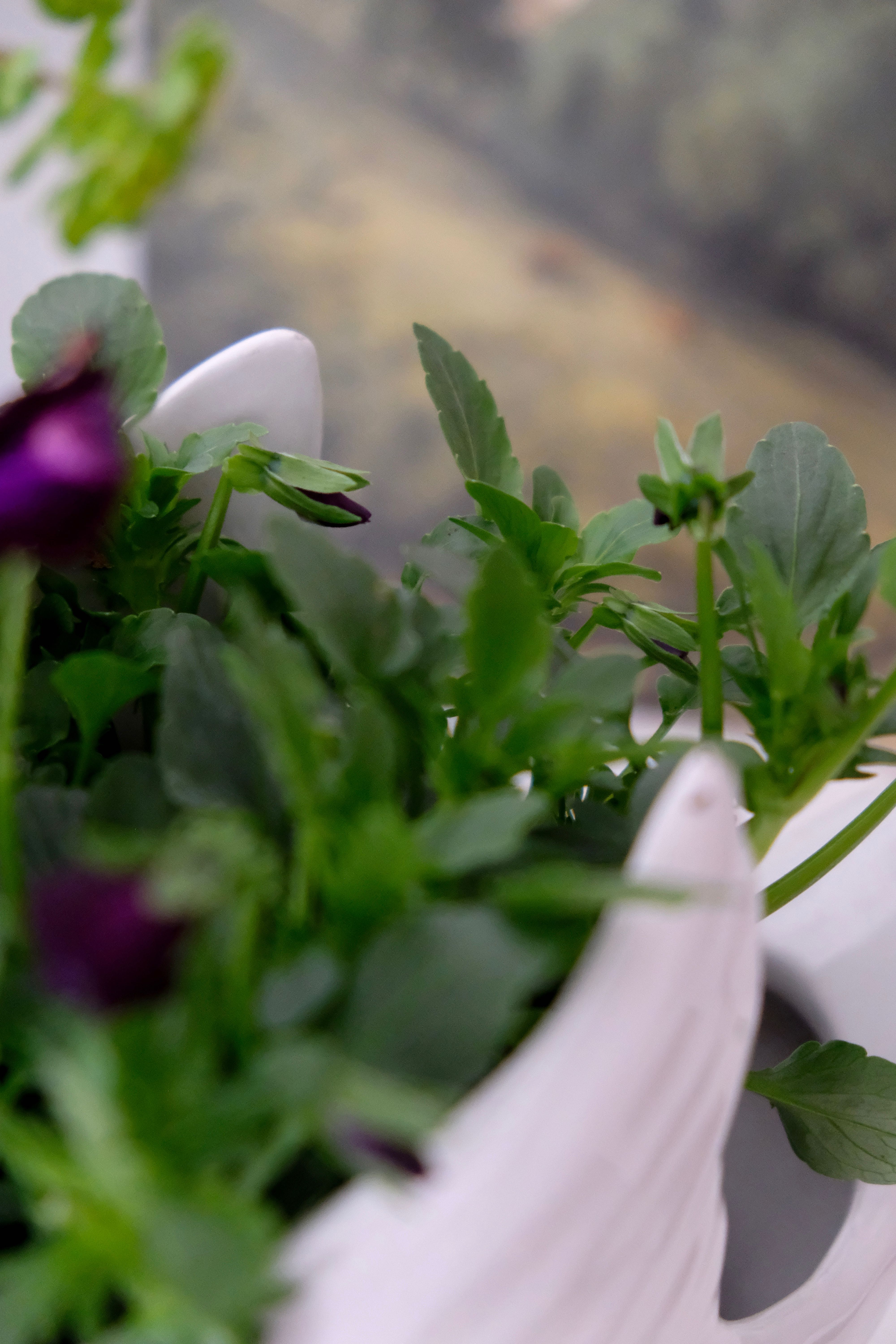 Swan pot cover "Faïence d'Art"