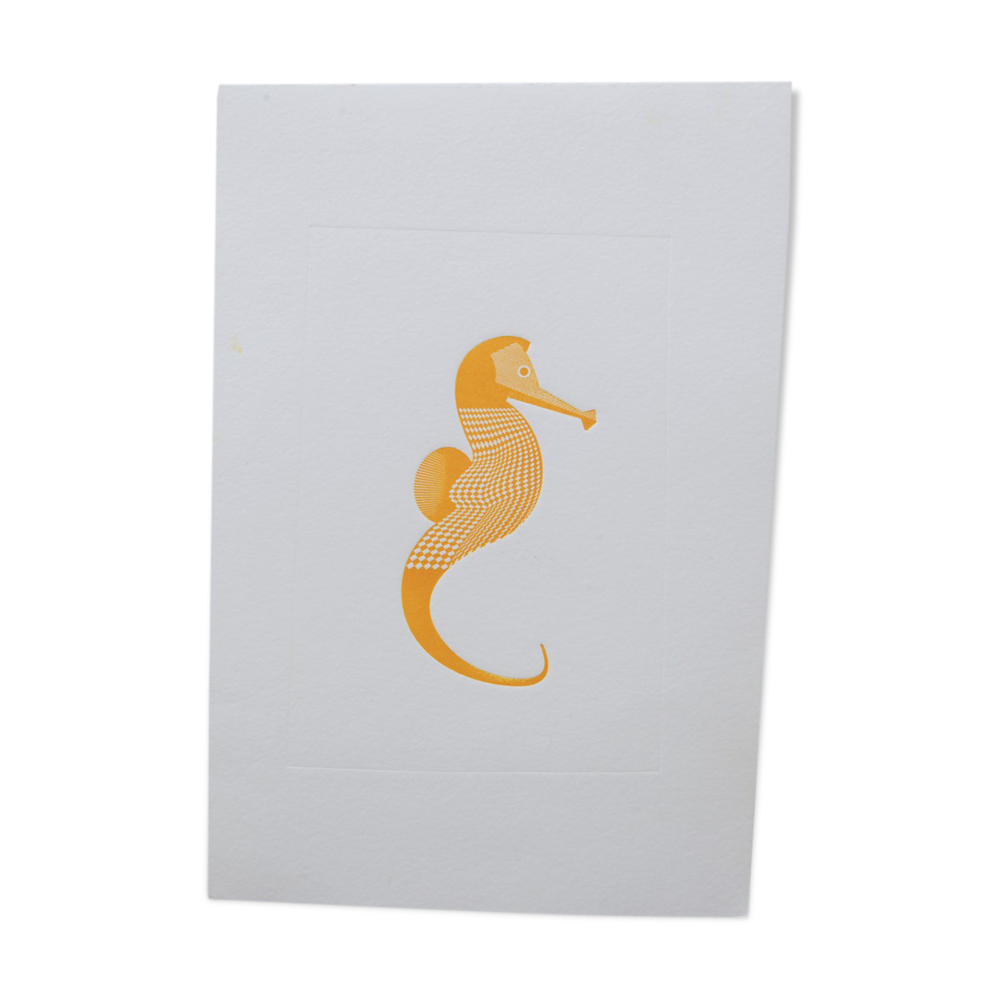Engraving 1 yellow seahorse color