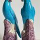 Pair of phenix birds chinese porcelain early 20th century
