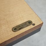 Office Secretary by Frantisek Mezulanik for Up Zavody 1960