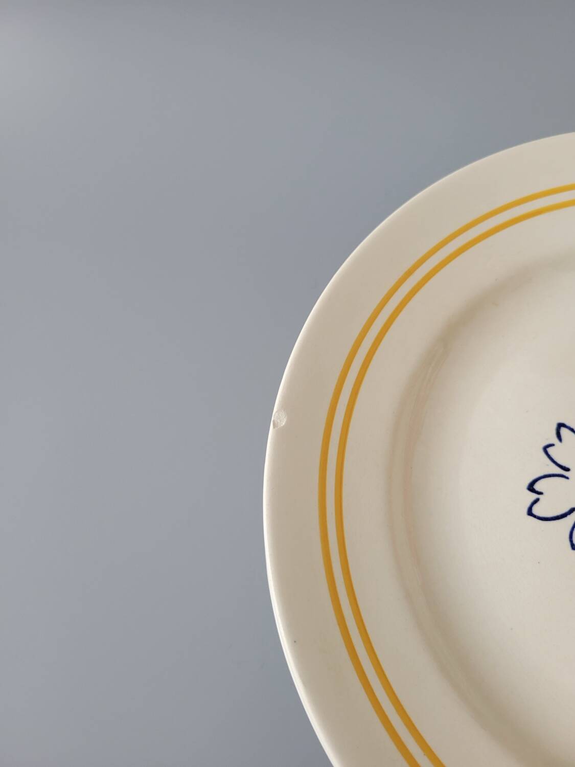 6 floral dinner plates