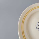 6 floral dinner plates