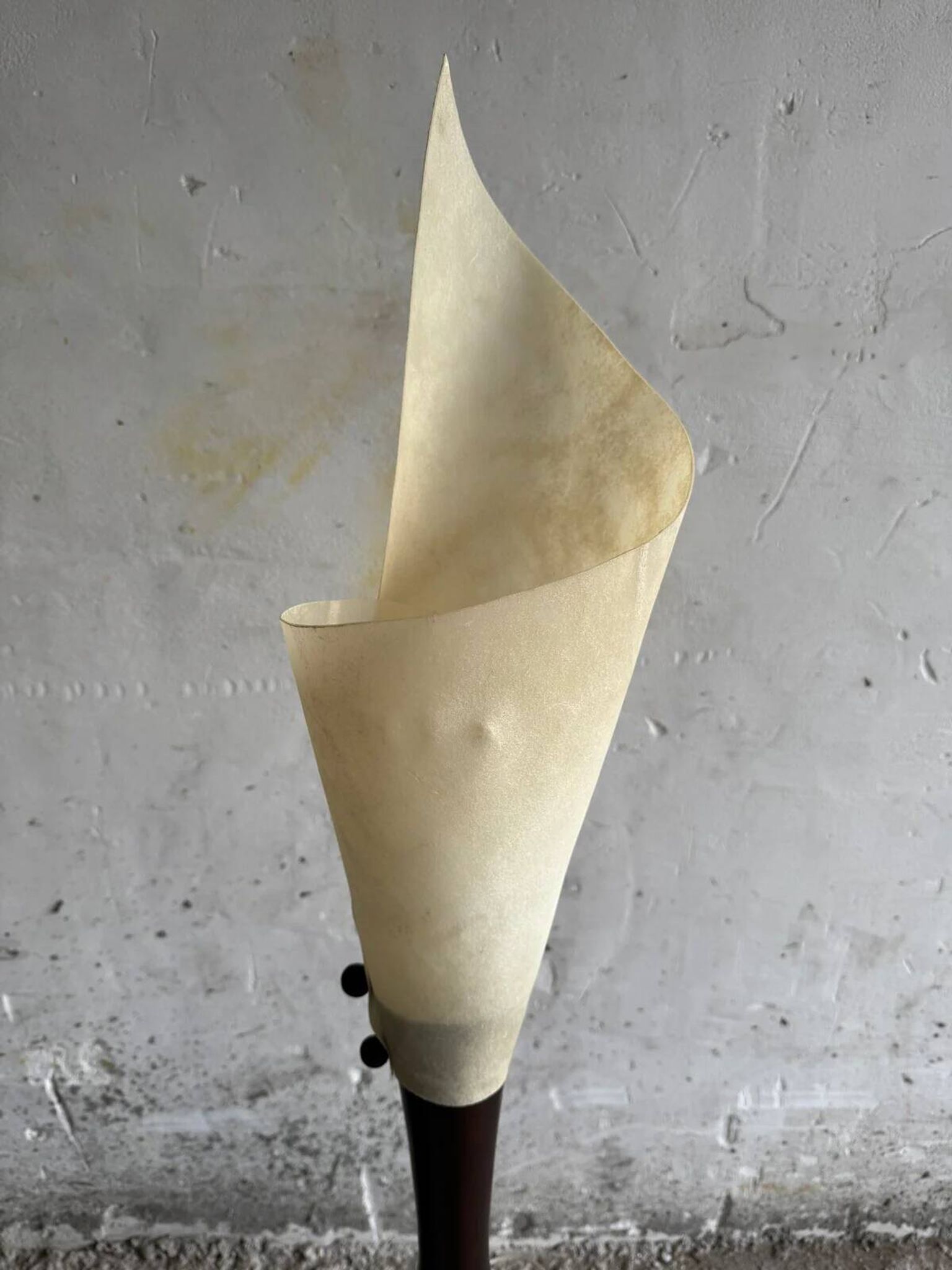 Set de 2 lampes sculpturales beiges avec des bases en bois massif, design organique du milieu du siècle.