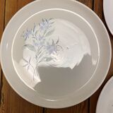 Set of 5 flat plates Sovirel