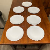 Shellfish plates