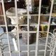 Etagere boulangere ancienne en fer forge a 5 niveaux