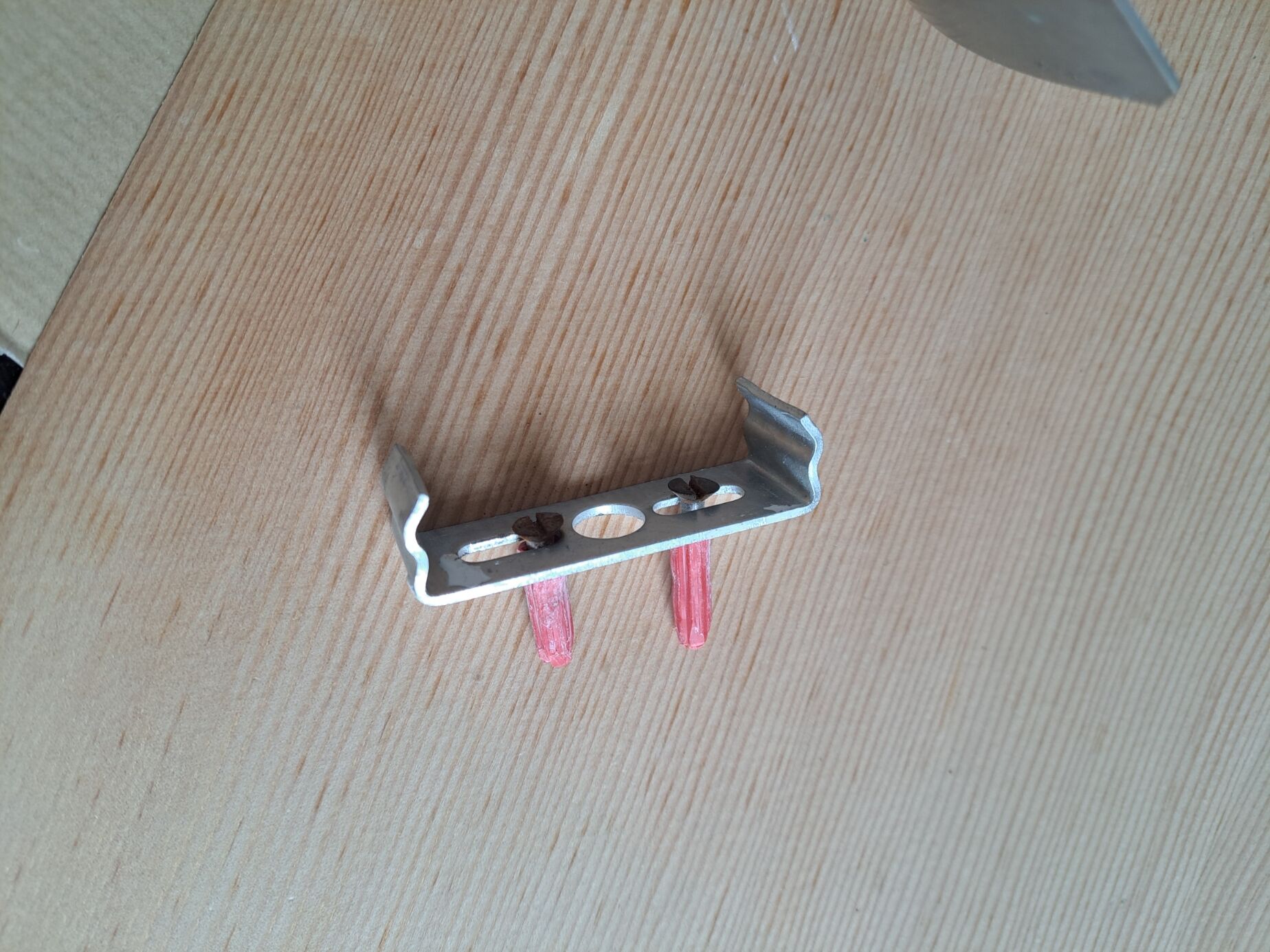 Flower of light by Jocelyne Trocmé