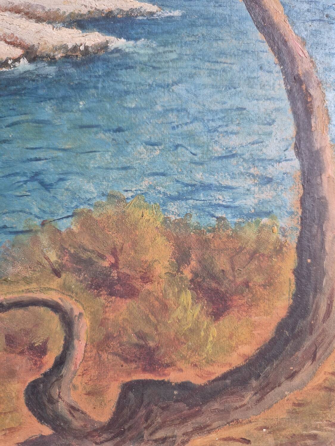 Coastal edge with leaning pine - Oil on cardboard