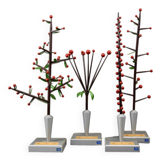 Brendel Inflorescences Botanical Models