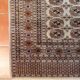 Brown Pakistani carpet