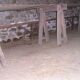 Rustic tray table with 3 trestles and 2 benches, 4 meters long