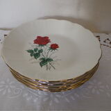 Lots of plates Claudia from L'Amandinoise