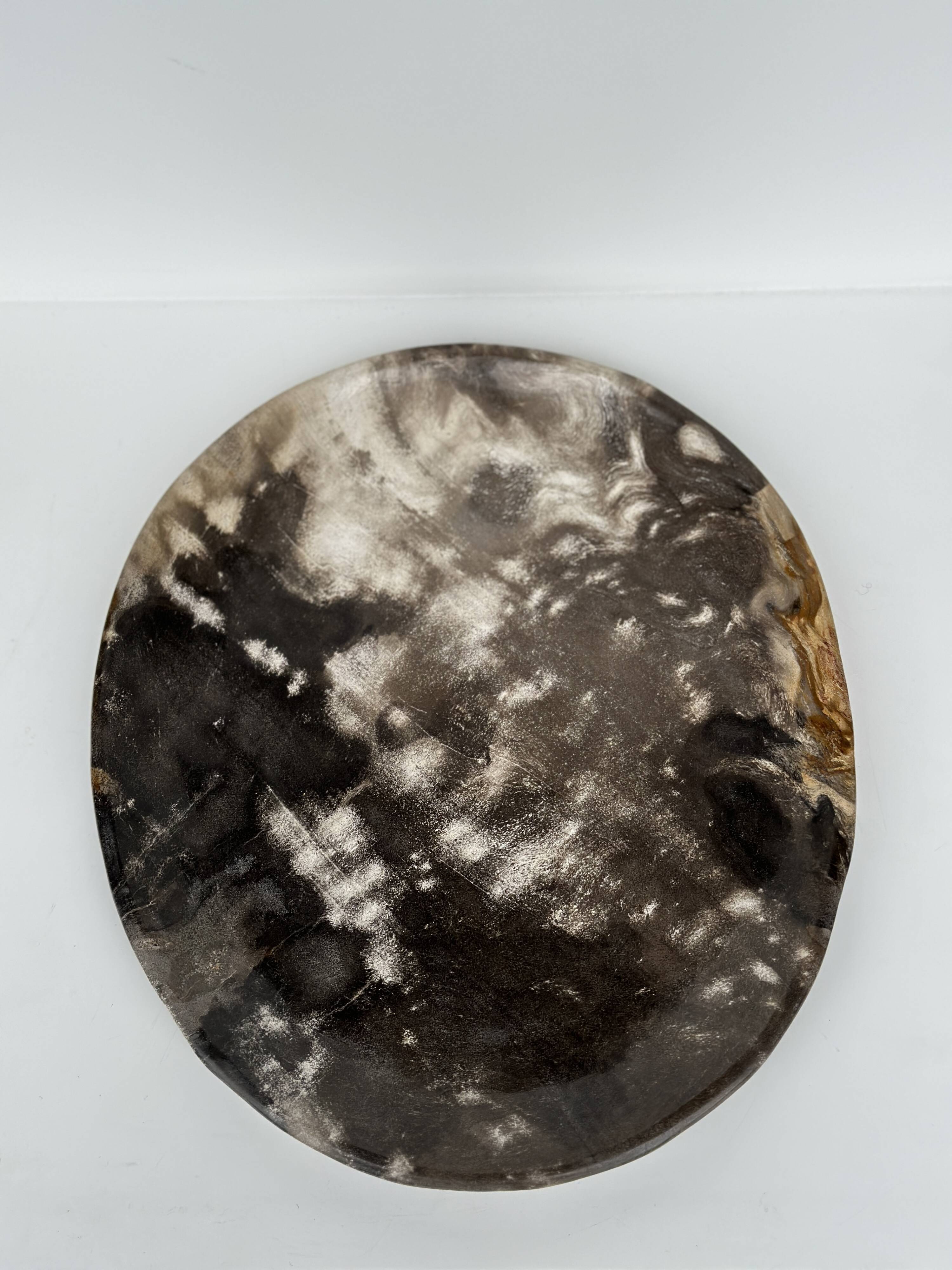 Medium petrified wood dish or pocket emptier, predominantly gray 1137