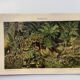 Small Engraving from 1909 - The forest and its soil - Old German plate - Chromolithograph