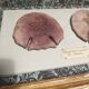 Frame with purple sea urchins Echinodiscus auritus