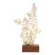 Natural white coral on a wooden base, 1970s.