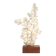 Natural white coral on a wooden base, 1970s.