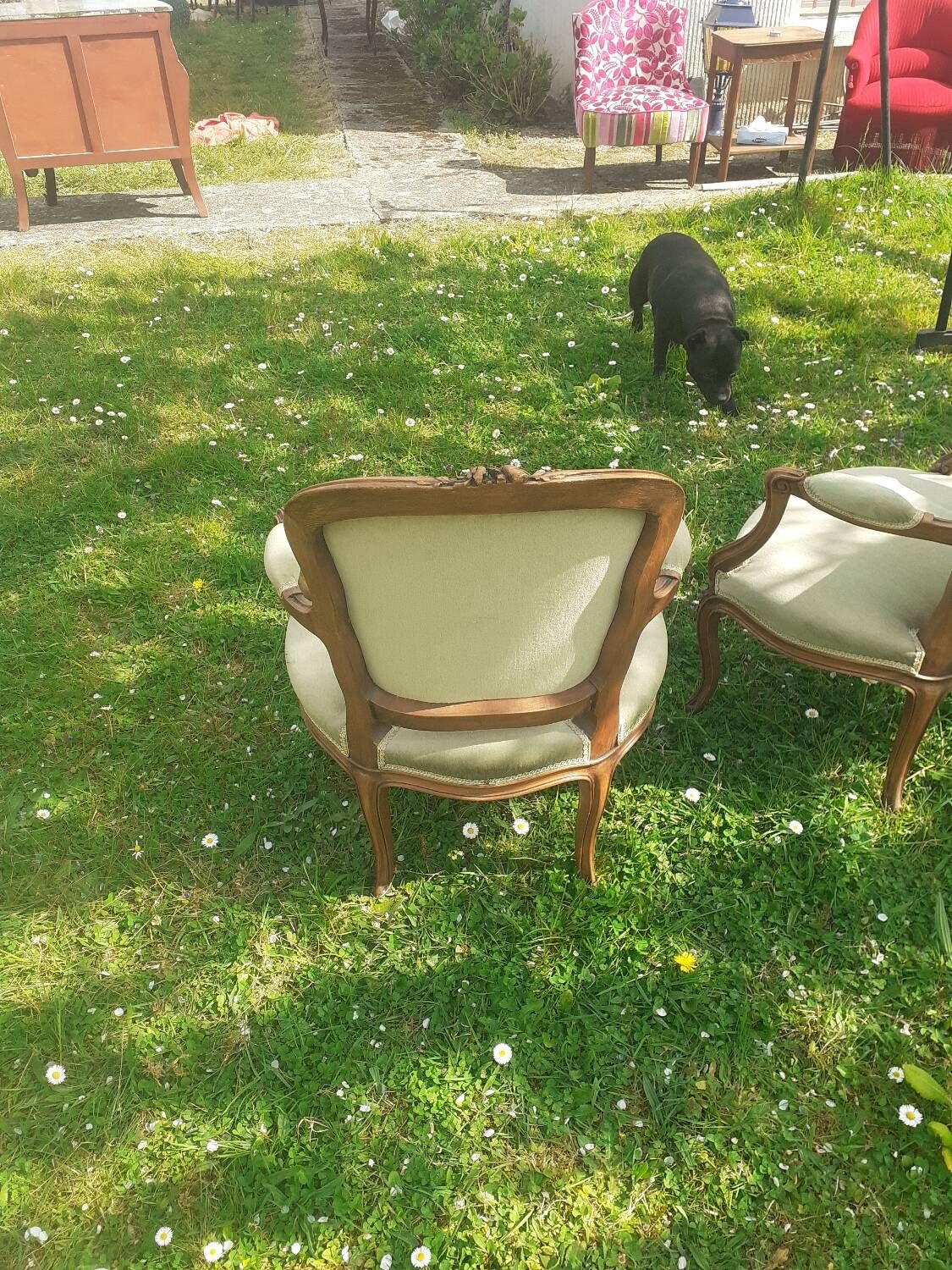 Pair of Rocaille style armchairs in green fabric and walnut, 19th century