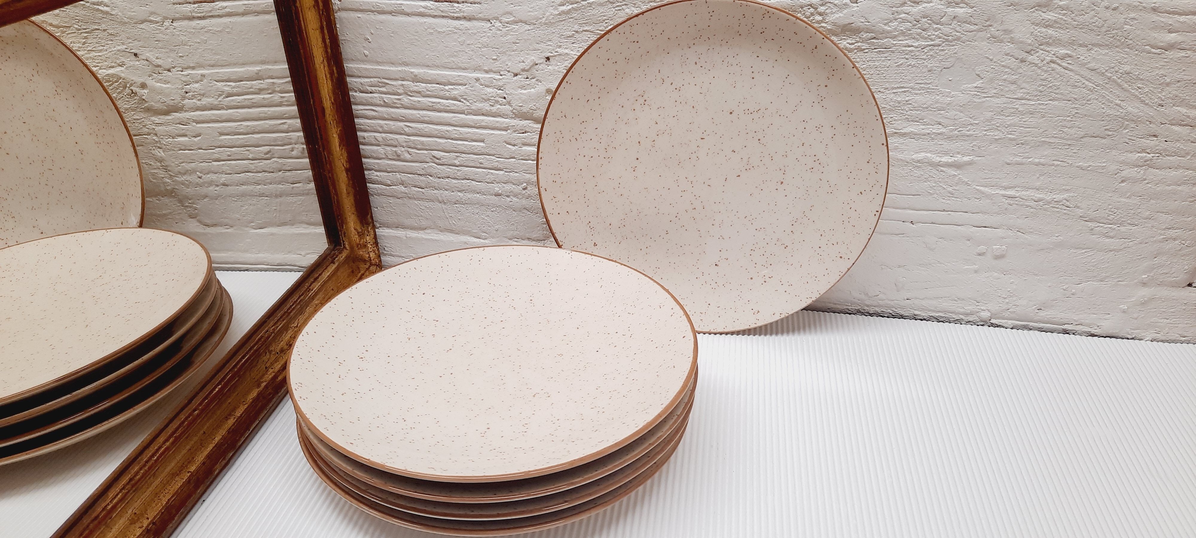 Set 5 flat speckled plates
