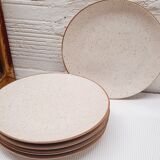 Set 5 flat speckled plates