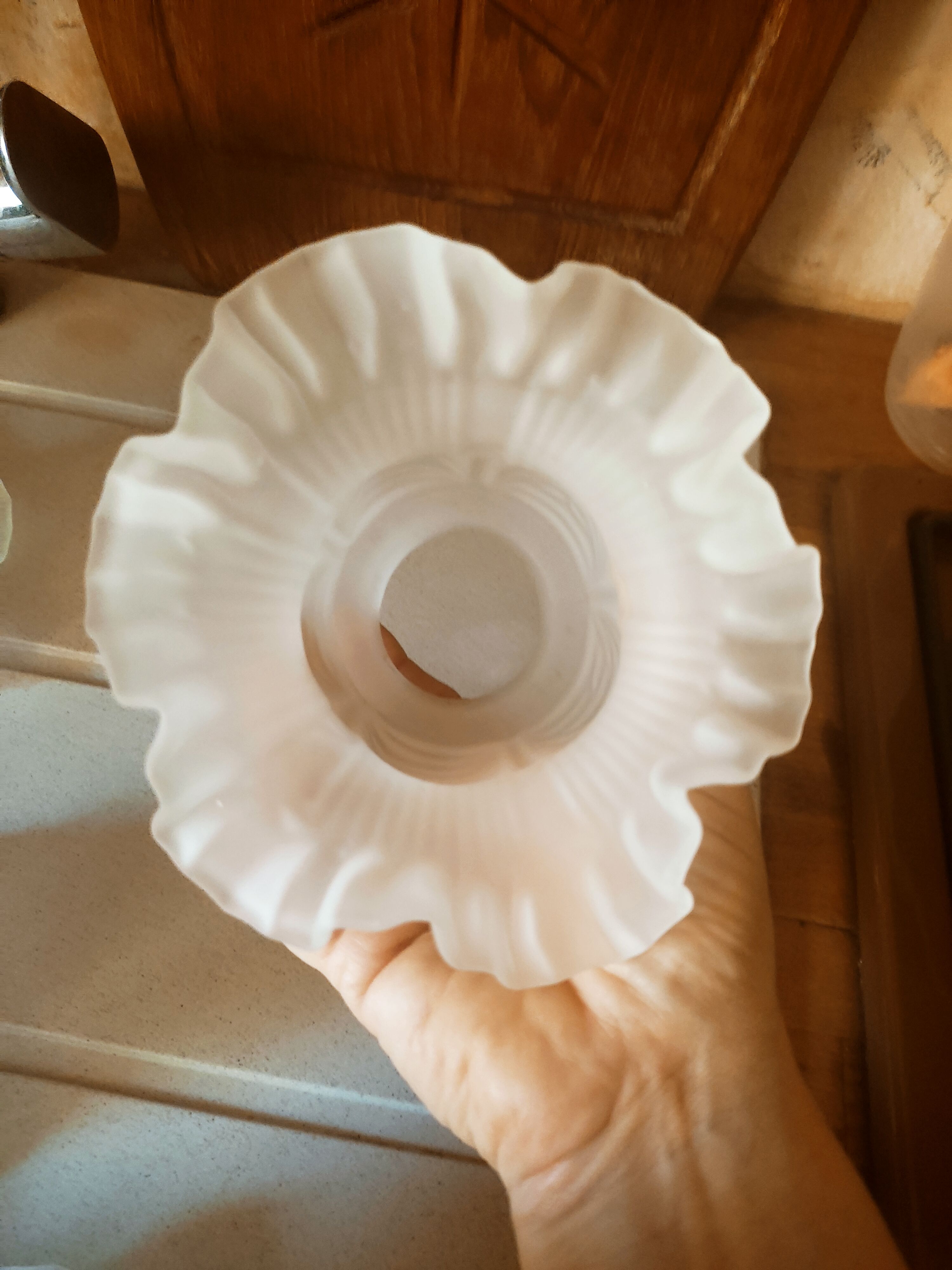 Art nouveau tulip in polished glass