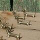 Handcrafted brass gazelle knife rests x12