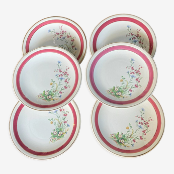 Set of 6 plates in earthenware of Saint Amand