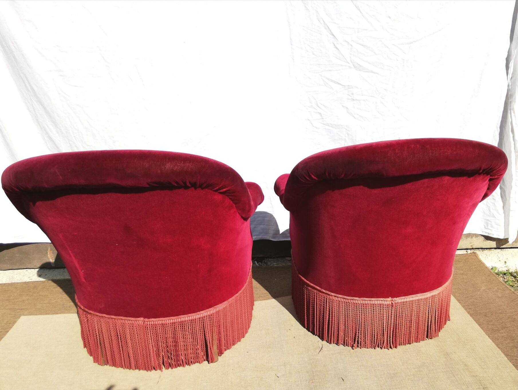 Two pretty cinema red Toad