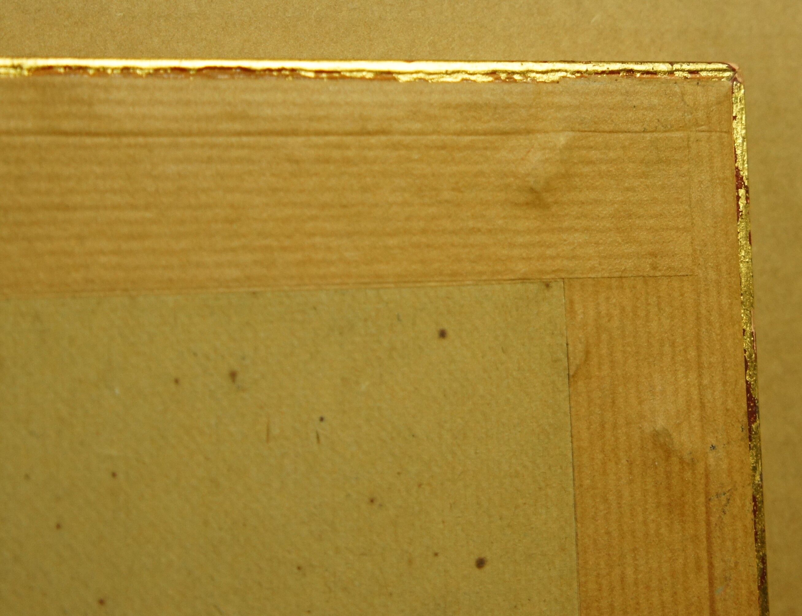 Golden frame with gold leaf - ancient botanical poster