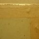 Golden frame with gold leaf - ancient botanical poster