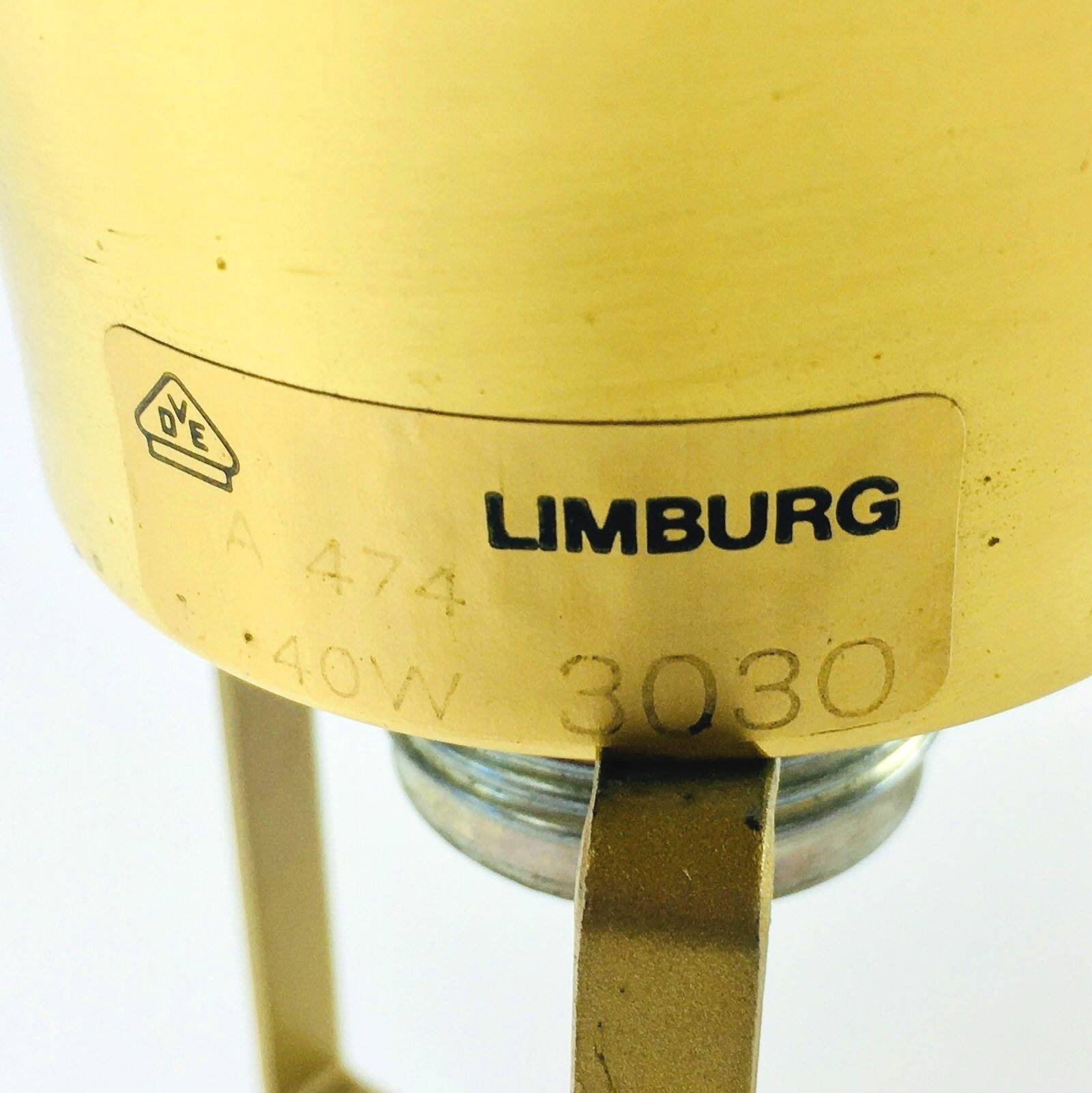 Mid-Century Modern Flower-Shaped Glass Flush Mount/Ceiling Light from Limburg, Germany, 1970s