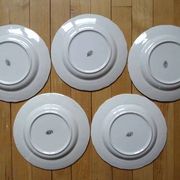 Kg luneville "réverbère" 5 flat plates earthenware hand-painted flowers ø25.5 cm