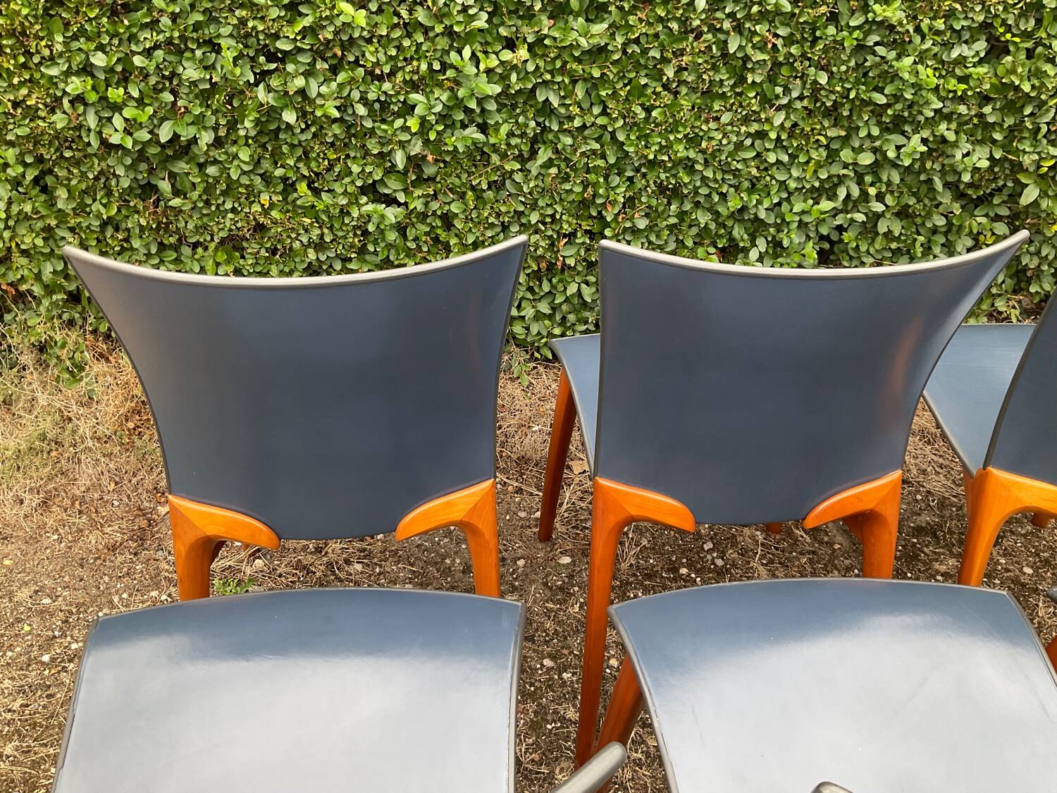 Série de 6 chaises Cassina par Josep Llusca