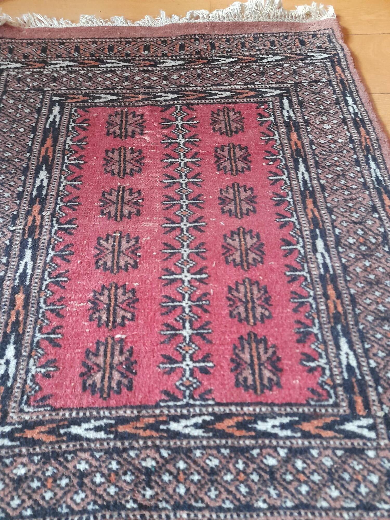 Oriental wool rug