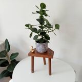 Vintage tripod stool