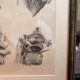 Old Engraving Nose Nasal Cavity NICOLAS HENRI Jacob Bourgery Medical Anatomy