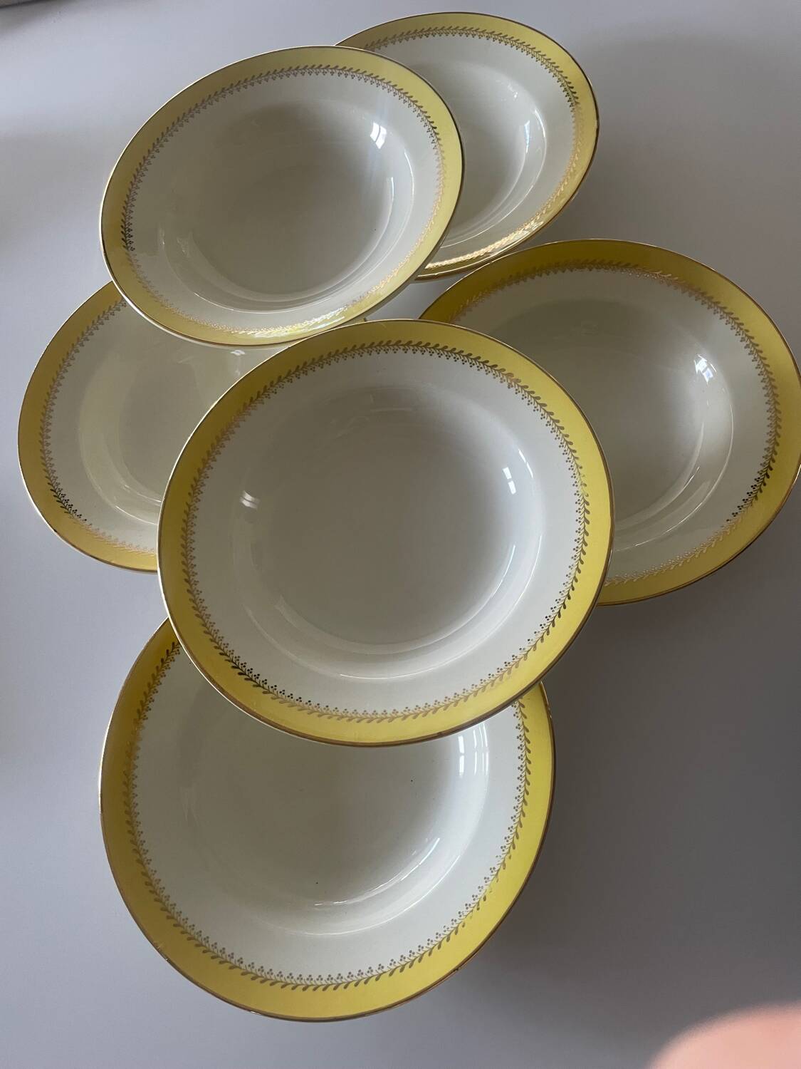 6 Biarritz earthenware soup plates