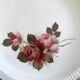 Set de 6 assiettes plates Sarreguemines décor Richemond